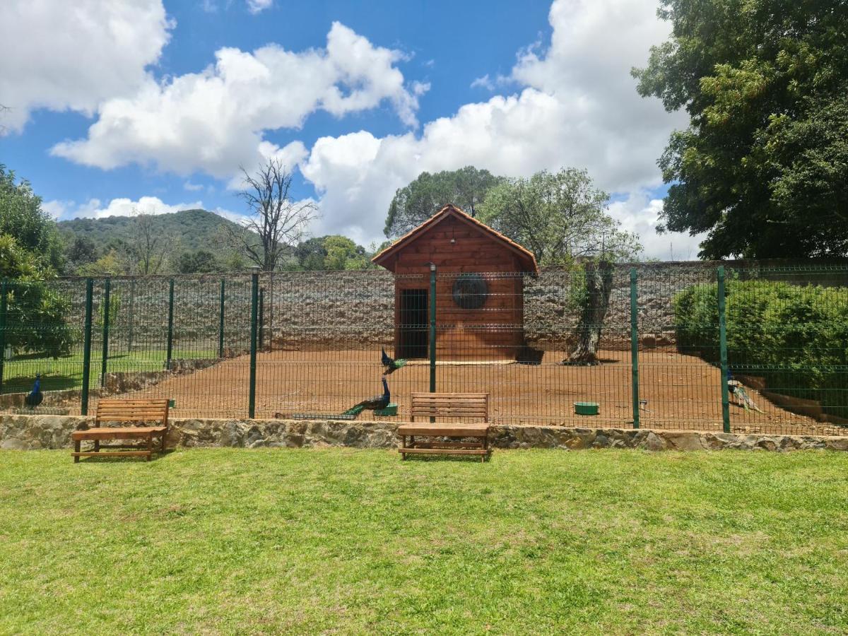 Finca Los Angeles Hospederia & Sociales Huasca de Ocampo Luaran gambar