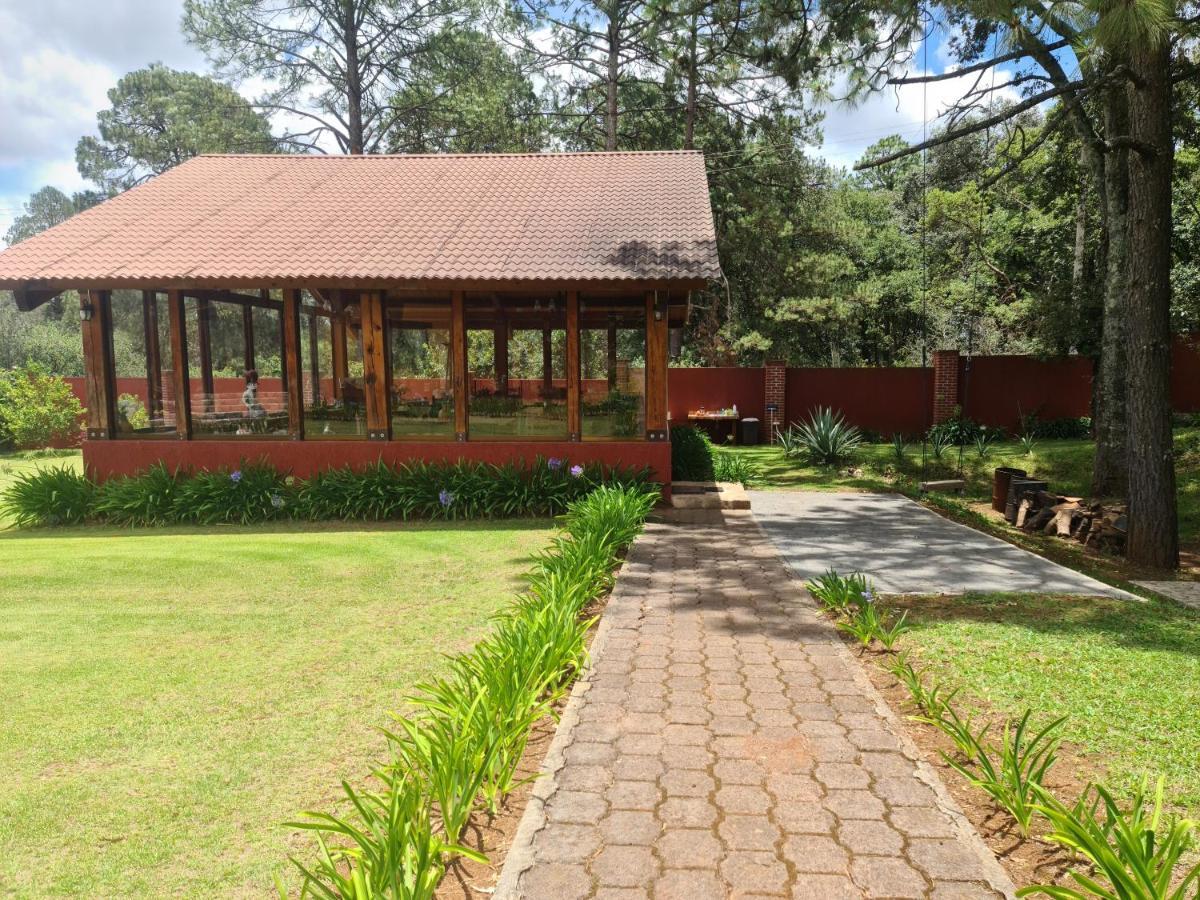 Finca Los Angeles Hospederia & Sociales Huasca de Ocampo Luaran gambar
