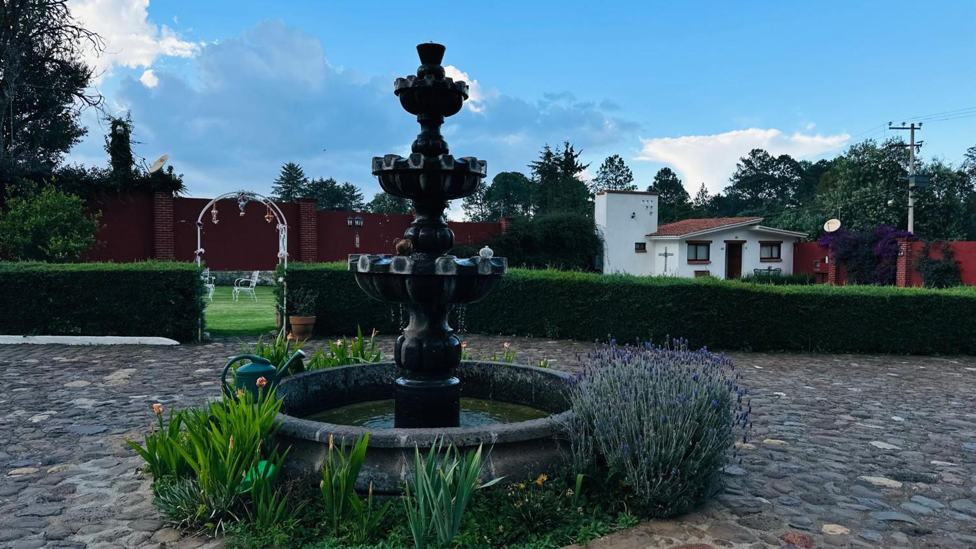 Finca Los Angeles Hospederia & Sociales Huasca de Ocampo Luaran gambar